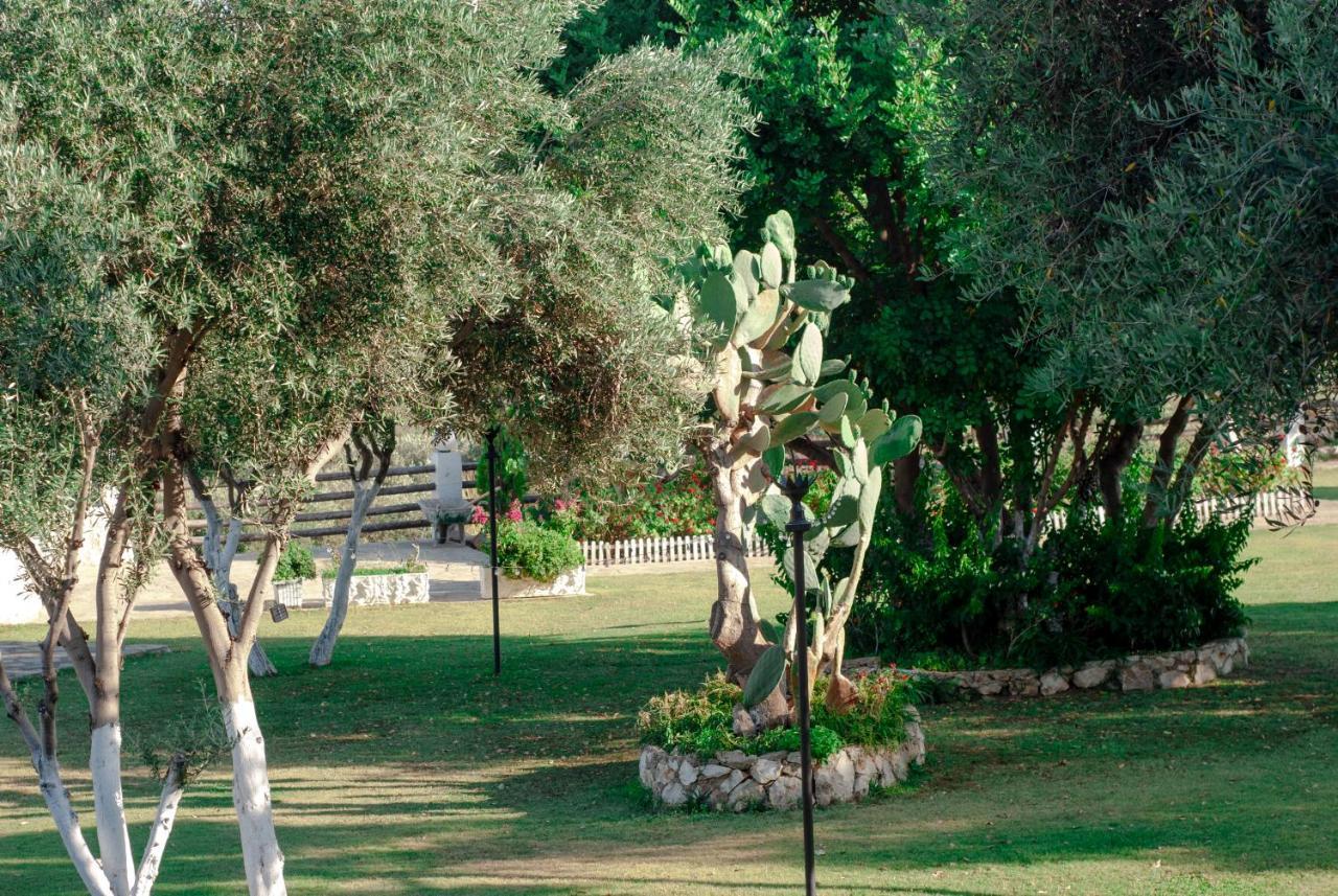מלון קס Akrapol Boutique מראה חיצוני תמונה
